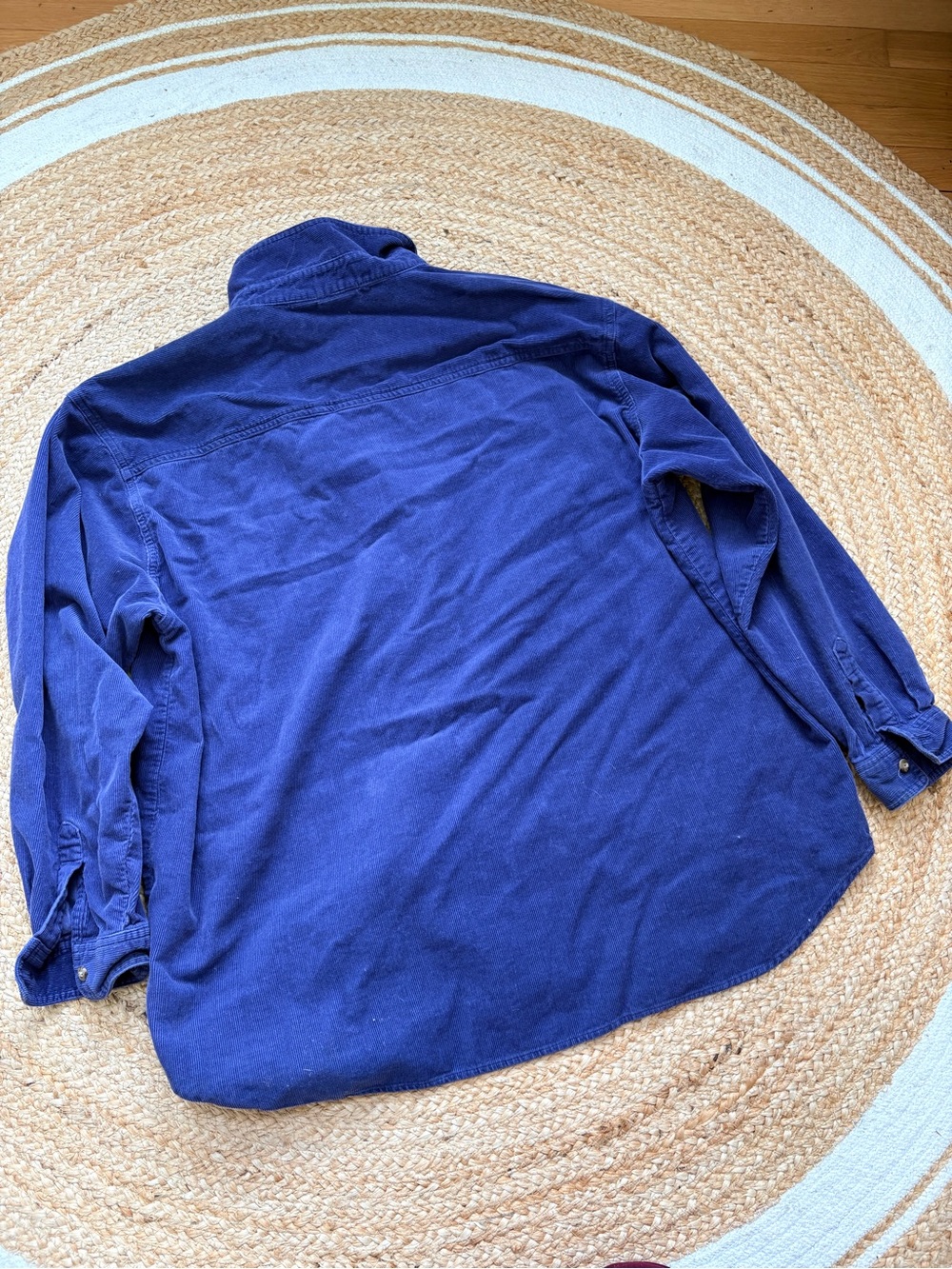 Disney Navy Blue Button-Down Shirt with Winnie the Pooh & Tigger Embroidery - Picture 3 of 9